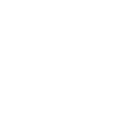 Elektro Skopal